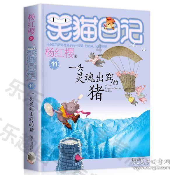 小熊猫足球冒险