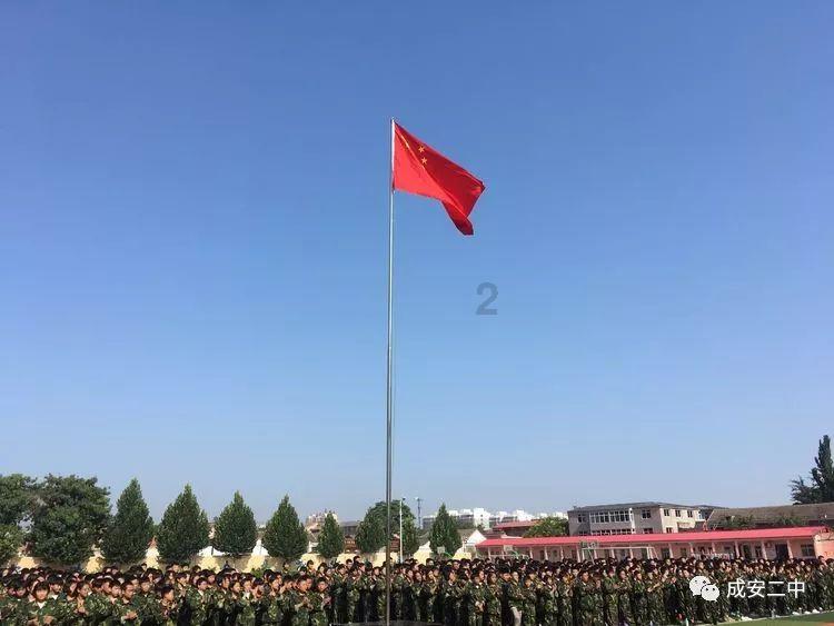 九十岁的老年人送什么样的鲜花最好啊？什么花呢，游戏画面